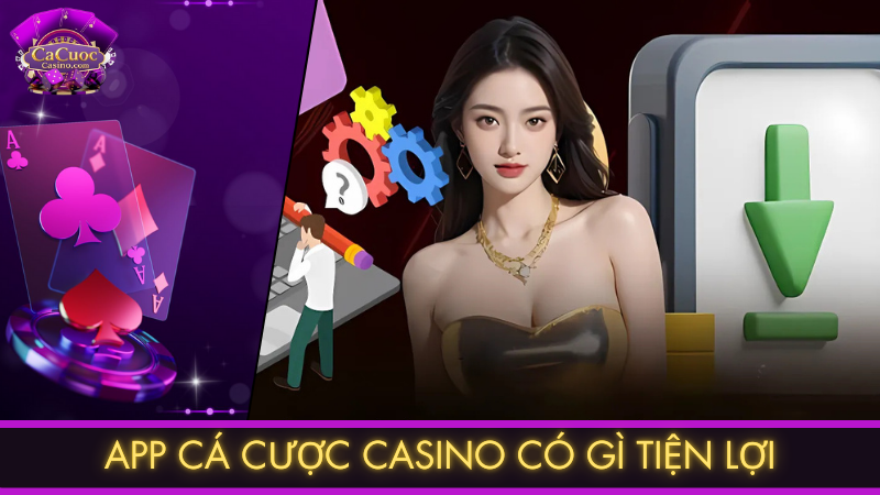 App cá cược casino có gì tiện lợi