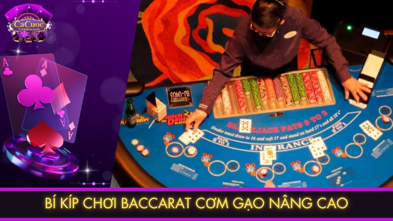 Bí kíp chơi baccarat cơm gạo nâng cao