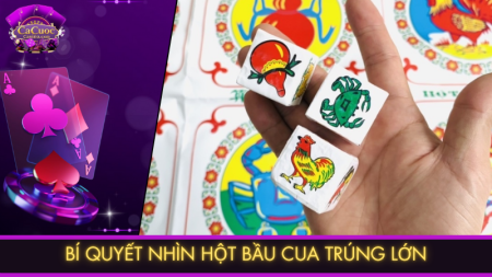 Cách nhìn hột bầu cua