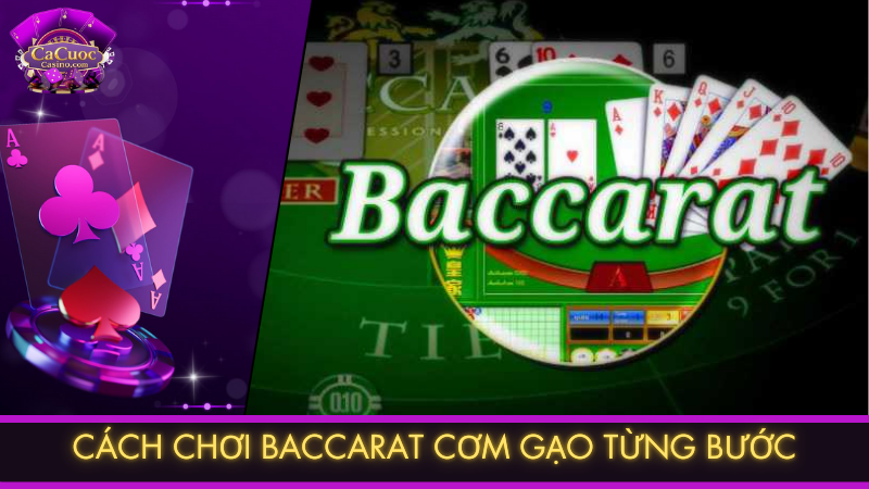 Cách chơi baccarat cơm gạo từng bước
