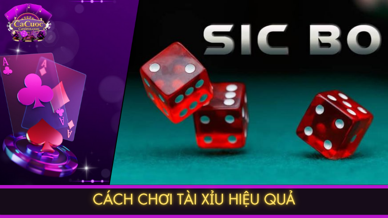 Cách chơi tài xỉu hiệu quả