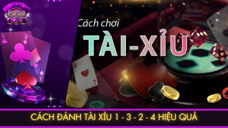 Cách đánh tài xỉu 1-3-2-4