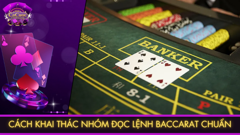 Cách khai thác nhóm đọc lệnh Baccarat chuẩn