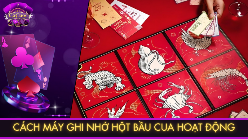 Cách máy ghi nhớ hột bầu cua hoạt động