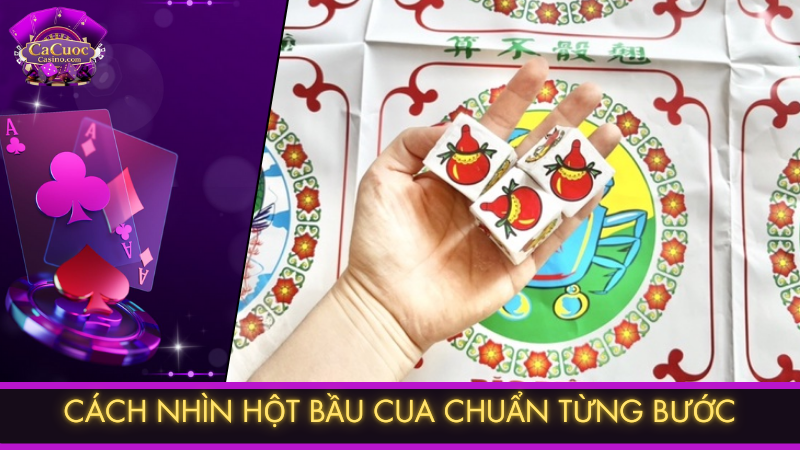 Cách nhìn hột bầu cua chuẩn từng bước