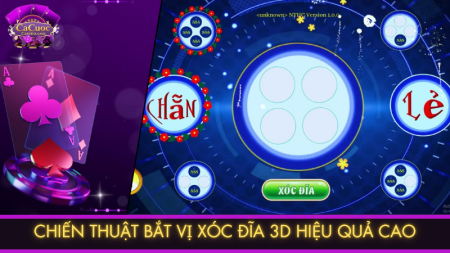 Bắt vị xóc đĩa 3D