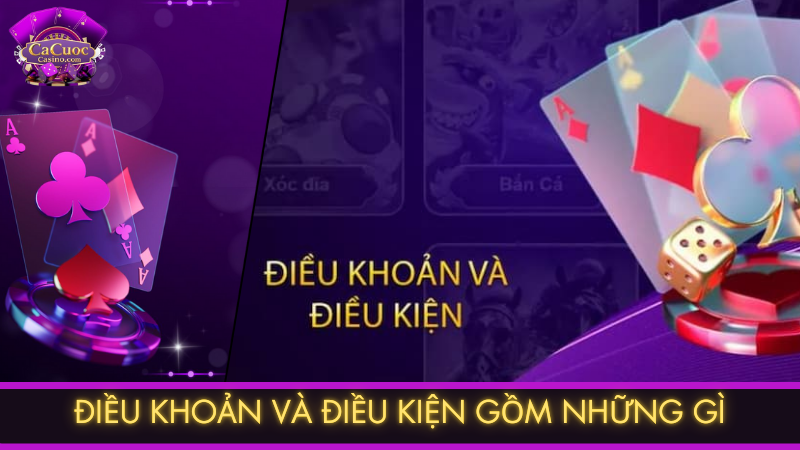 Điều khoản và điều kiện gồm những gì