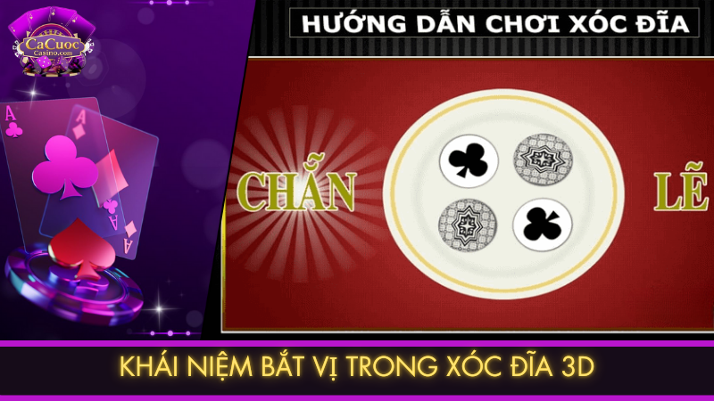 Khái niệm bắt vị trong xóc đĩa 3D