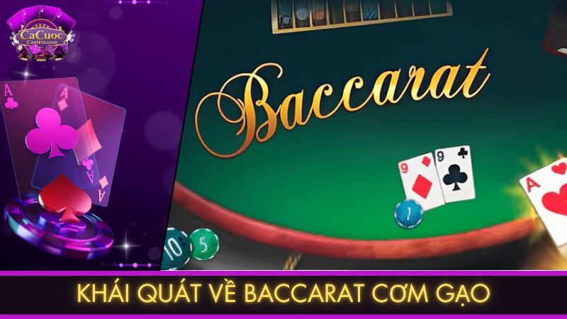 Khái quát về baccarat cơm gạo