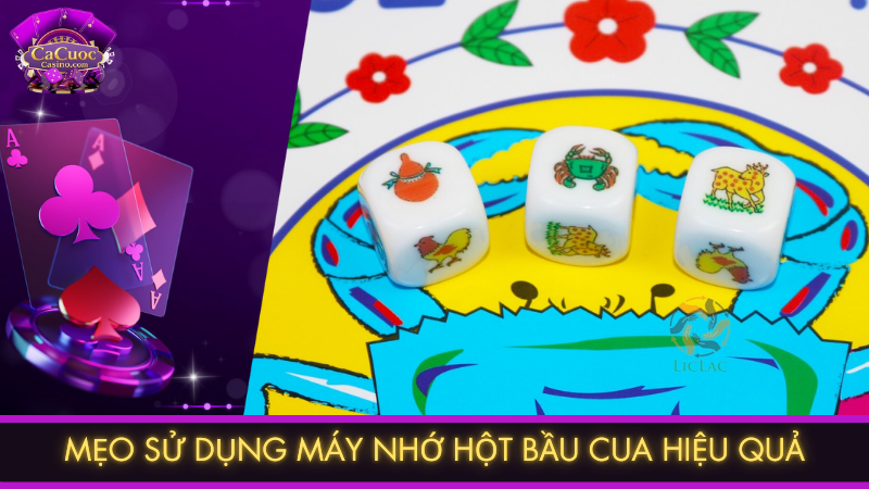 Mẹo sử dụng máy ghi nhớ hột bầu cua hiệu quả