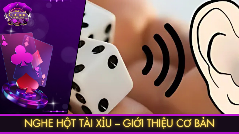 Nghe hột tài xỉu – Giới thiệu cơ bản