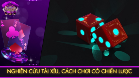 Nghiên cứu tài xỉu
