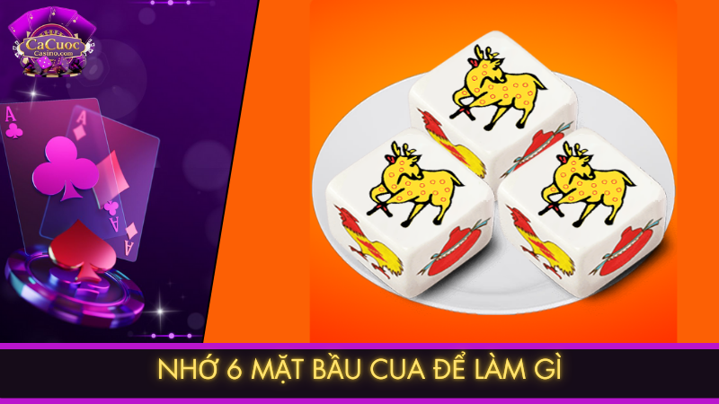 Nhớ 6 mặt bầu cua để làm gì