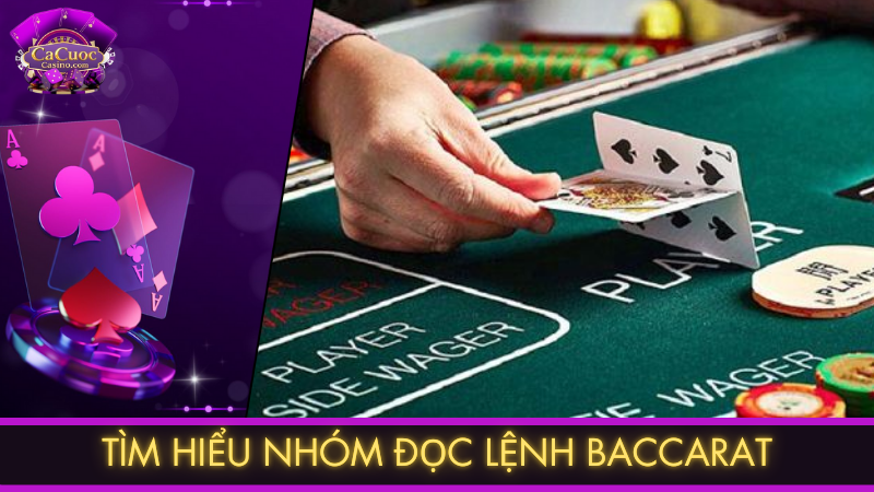Tìm hiểu nhóm đọc lệnh Baccarat