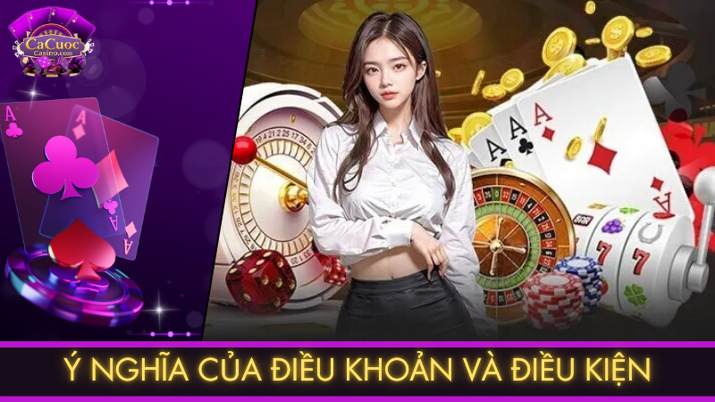Ý nghĩa của Điều khoản và điều kiện