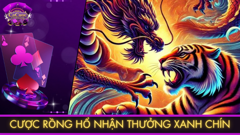 Cược rồng hổ nhận thưởng xanh chín